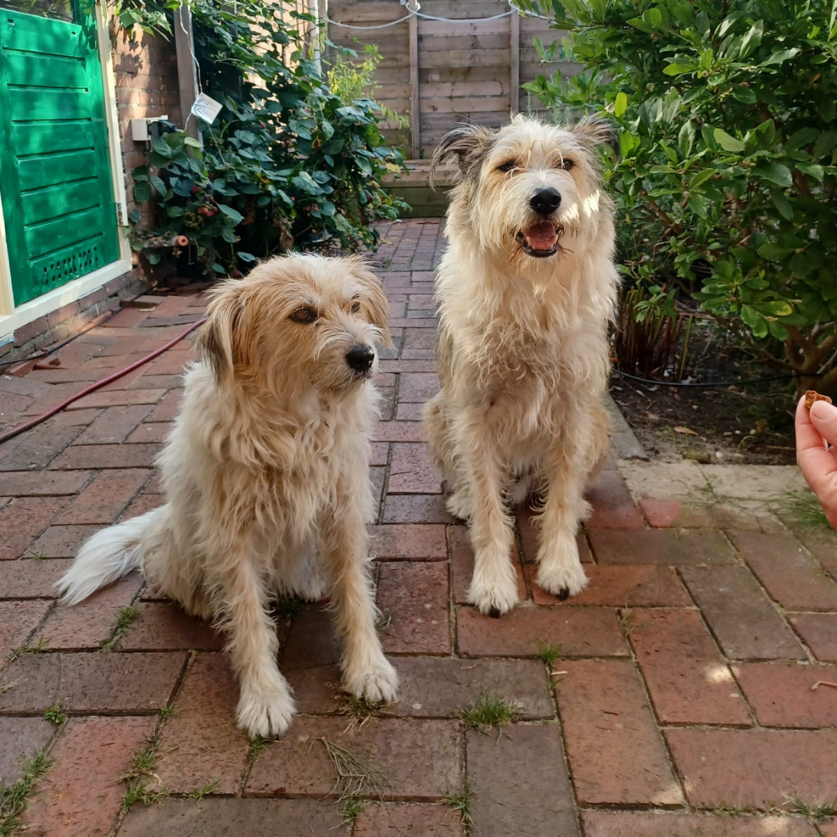 Lisa en Simon IN NEDERLAND