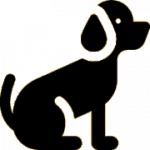 cropped-cropped-Logo-hond-transparant-1.png