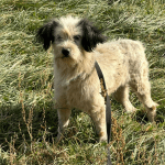 Website main image