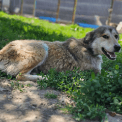 Hope – 3