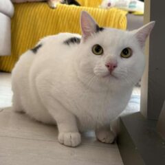 Mio (4)
