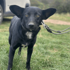 April September 2025 1