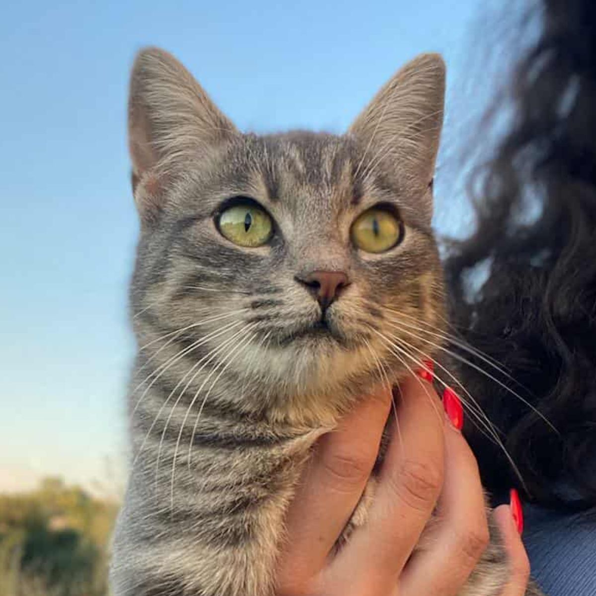 Nellie (met Milo) GERESERVEERD