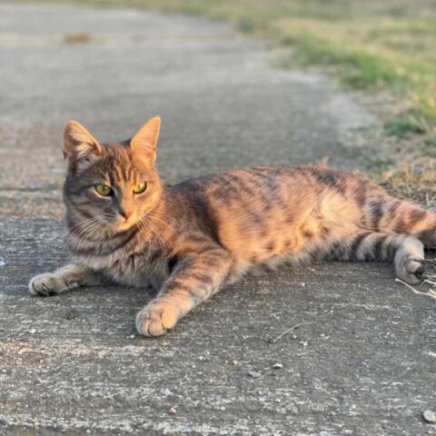 Nellie (5)