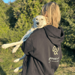 Honey September 20254